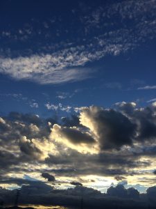 IMG_4786