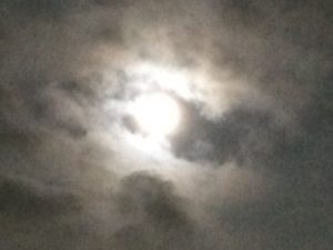 img_4905