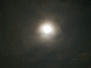 img_4907